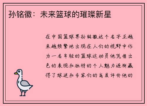 孙铭徽：未来篮球的璀璨新星